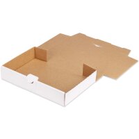 Maxibriefkartons 240x160x45 mm weiss MB-3 DIN A5 (100 Stück)