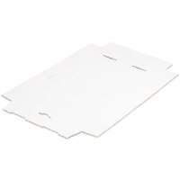 Maxibriefkartons 240x160x45 mm weiss MB-3 DIN A5 (100 Stück)