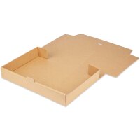 Maxibriefkarton 320x225x50 mm braun MB-4 DIN A4