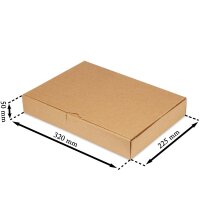Maxibriefkarton 320x225x50 mm braun MB-4 DIN A4