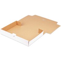 Maxibriefkarton 320x225x50 mm weiss MB-4 DIN A4