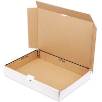 Maxibriefkartons 320x225x50 mm weiss MB-4 DIN A4 (100 Stück)