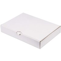 Maxibriefkartons 320x225x50 mm weiss MB-4 DIN A4 (50 Stück)