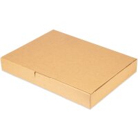 Maxibriefkartons 350x250x50 mm braun MB-5 DIN A4 (50 Stück)