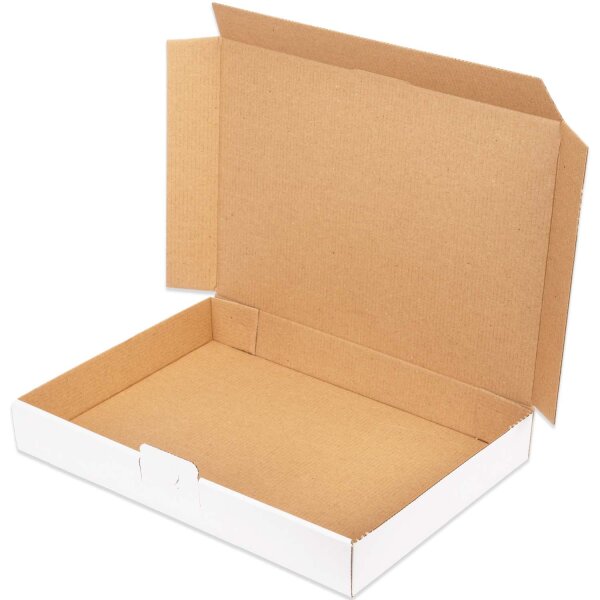 Maxibriefkarton 350x250x50 mm weiss MB-5 DIN A4