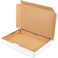 Maxibriefkarton 350x250x50 mm weiss MB-5 DIN A4