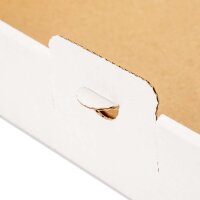 Maxibriefkartons 350x250x50 mm weiss MB-5 DIN A4 (100 Stück)