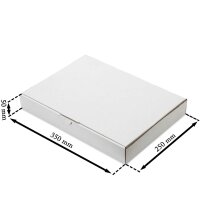 Maxibriefkartons 350x250x50 mm weiss MB-5 DIN A4 (50 Stück)