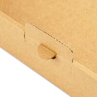Großbriefkarton 230x160x20 mm braun GB-1 DIN A5