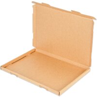 Grossbriefkarton 350x250x20 mm braun GB-2 DIN A4 (100...