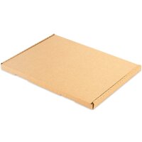 Grossbriefkarton 350x250x20 mm braun GB-2 DIN A4 (100 Stück)