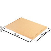 Grossbriefkarton 350x250x20 mm braun GB-2 DIN A4 (100 Stück)