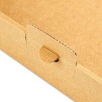 Grossbriefkarton 350x250x20 mm braun GB-2 DIN A4 (100 Stück)