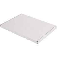 Grossbriefkarton 350x250x20 mm weiss GB-2 DIN A4 (50 Stück)