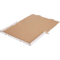 Grossbriefkarton 350x250x20 mm weiss GB-2 DIN A4 (50 Stück)