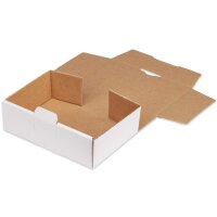 Maxibriefkarton 160x110x50 mm weiss MB-1 DIN A6 (100 Stück)